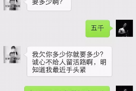 丛台企业清欠服务